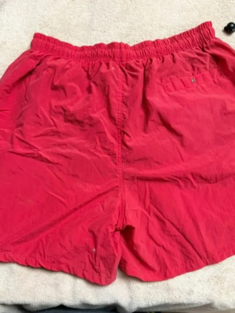 Big Dogs Swim Shorts